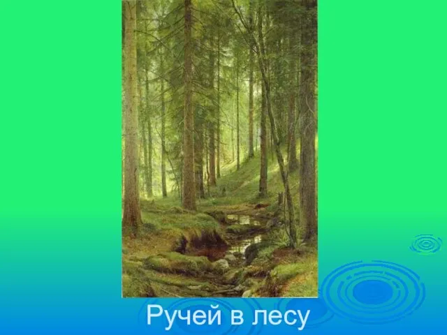 Ручей в лесу