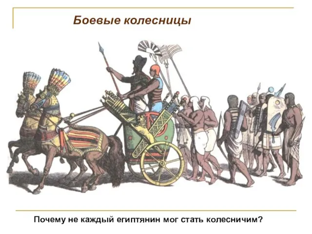 Боевые колесницы Почему не каждый египтянин мог стать колесничим?