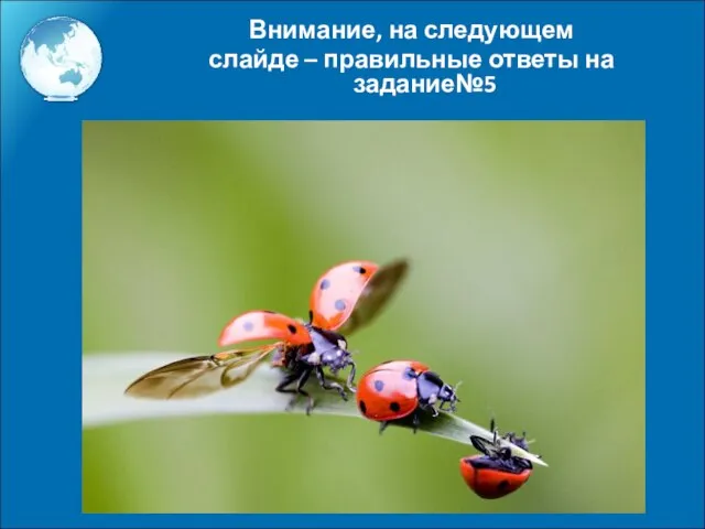 Внимание, на следующем слайде – правильные ответы на задание№5