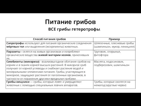 Питание грибов ВСЕ грибы гетеротрофы.