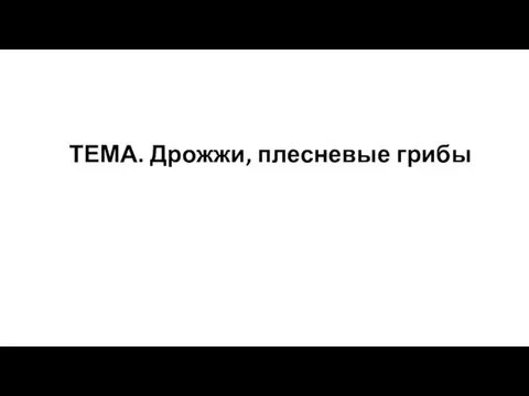 ТЕМА. Дрожжи, плесневые грибы