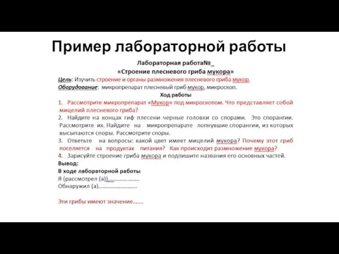 Пример лабораторной работы