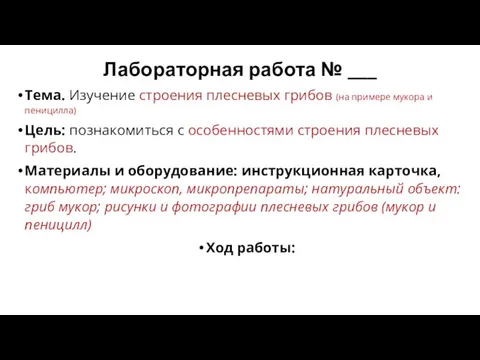 Лабораторная работа № ___ Тема. Изучение строения плесневых грибов (на примере мукора