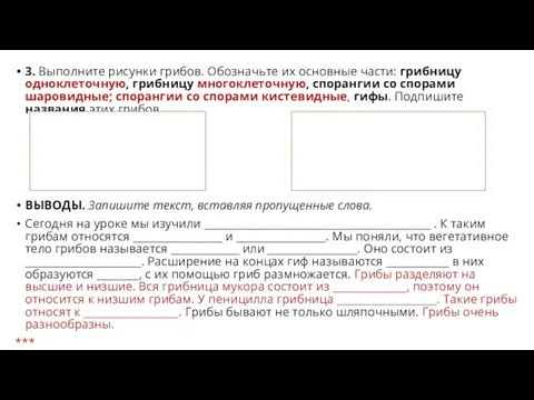 3. Выполните рисунки грибов. Обозначьте их основные части: грибницу одноклеточную, грибницу многоклеточную,