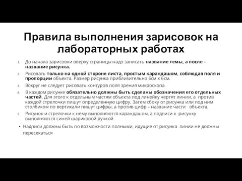 Правила выполнения зарисовок на лабораторных работах До начала зарисовки вверху страницы надо