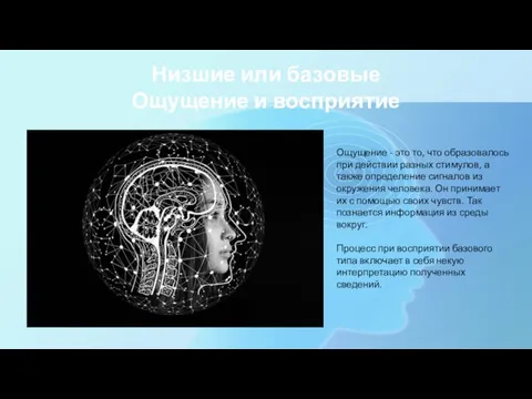 Низшие или базовые Ощущение и восприятие Ощущение - это то, что образовалось