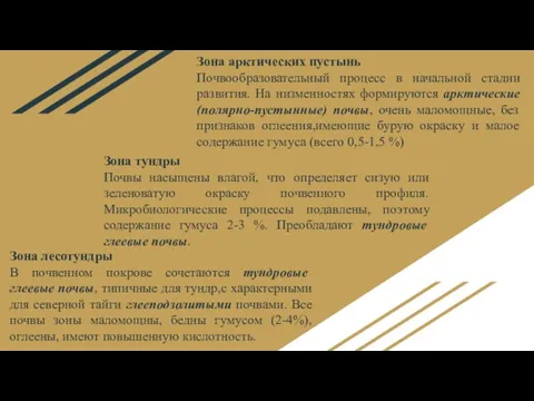 Зона арктических пустынь Почвообразовательный процесс в начальной стадии развития. На низменностях формируются