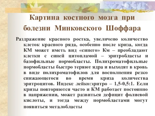 Картина костного мозга при болезни Минковского Шоффара Раздражение красного ростка, увеличено количество