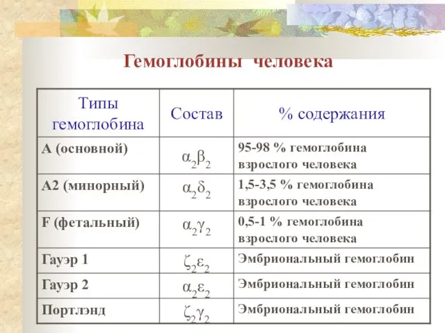 Гемоглобины человека