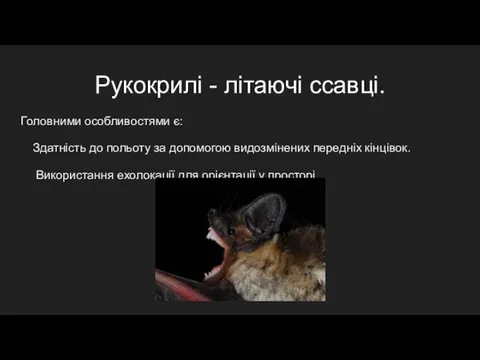 Головними особливостями є: Здатність до польоту за допомогою видозмінених передніх кінцівок. Використання