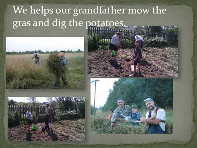 We helps our grandfather mow the gras and dig the potatoes.