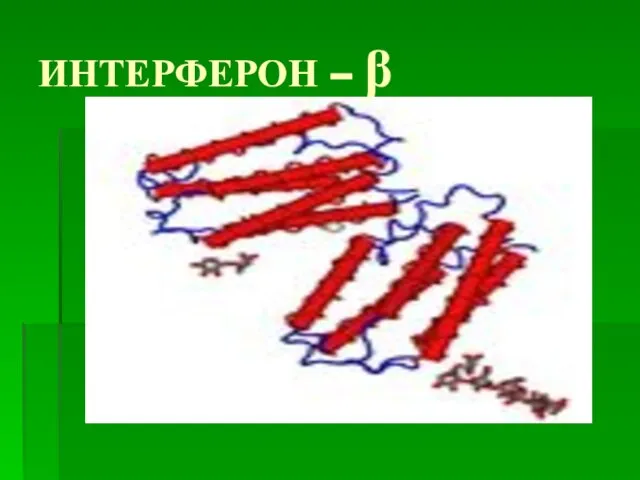 ИНТЕРФЕРОН – β