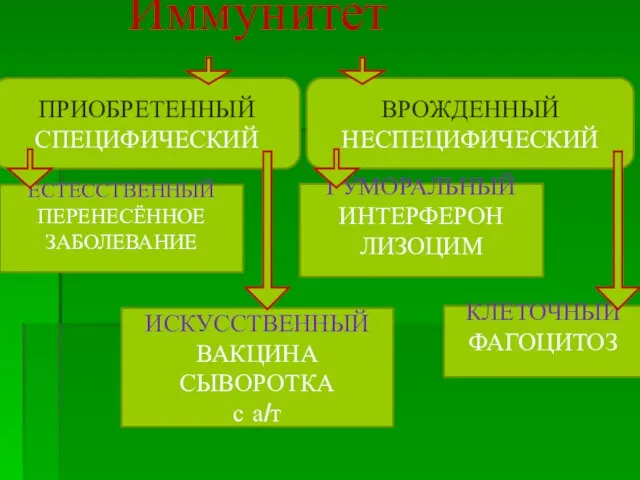 Иммунитет ЕСТЕССТВЕННЫЙ ПЕРЕНЕСЁННОЕ ЗАБОЛЕВАНИЕ ИСКУССТВЕННЫЙ ВАКЦИНА СЫВОРОТКА с а/т ВРОЖДЕННЫЙ НЕСПЕЦИФИЧЕСКИЙ ГУМОРАЛЬНЫЙ