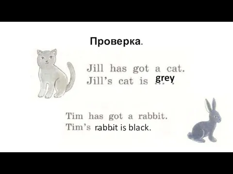 Проверка. grey rabbit is black.