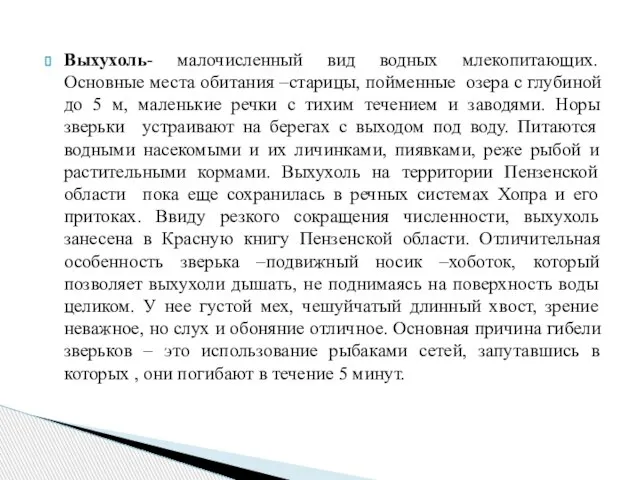 Выхухоль- малочисленный вид водных млекопитающих. Основные места обитания –старицы, пойменные озера с