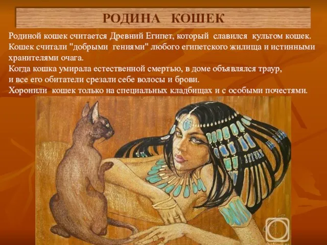 Родиной кошек считается Древний Египет, который славился культом кошек. Кошек считали "добрыми