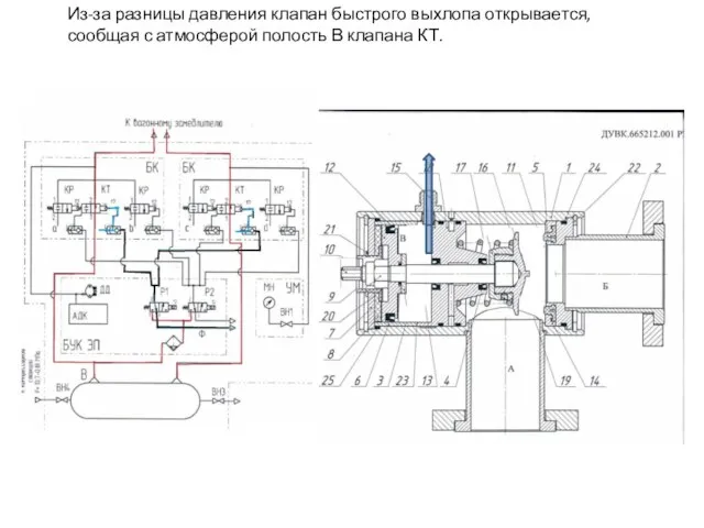 Из-за разницы давления клапан быстрого выхлопа открывается, сообщая с атмосферой полость В клапана КТ.