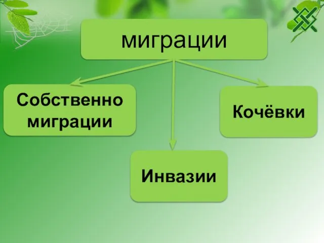 миграции Собственно миграции Инвазии Кочёвки