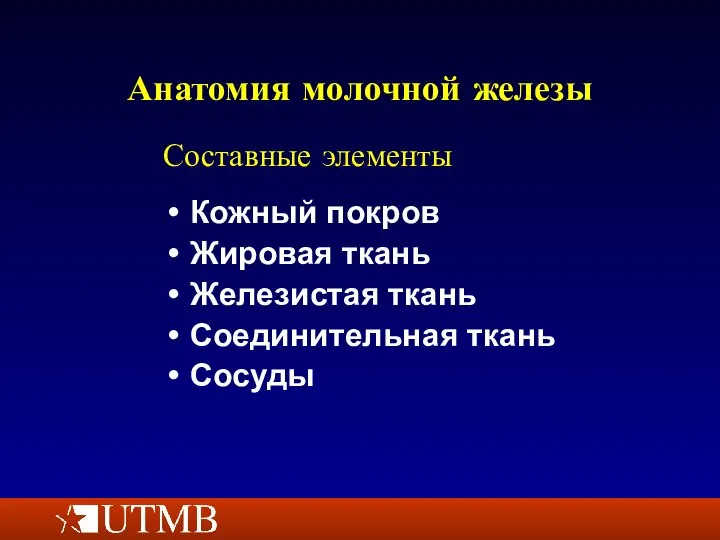 Анатомия молочной железы Кожный покров Жировая ткань Железистая ткань Соединительная ткань Сосуды Составные элементы