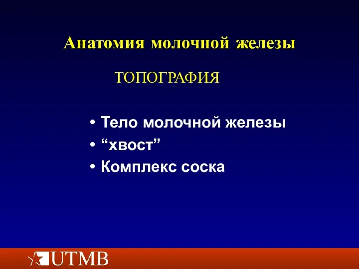 Анатомия молочной железы Тело молочной железы “хвост” Комплекс соска ТОПОГРАФИЯ