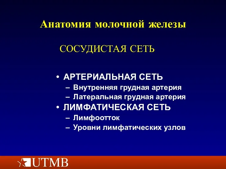 Анатомия молочной железы АРТЕРИАЛЬНАЯ СЕТЬ Внутренняя грудная артерия Латеральная грудная артерия ЛИМФАТИЧЕСКАЯ