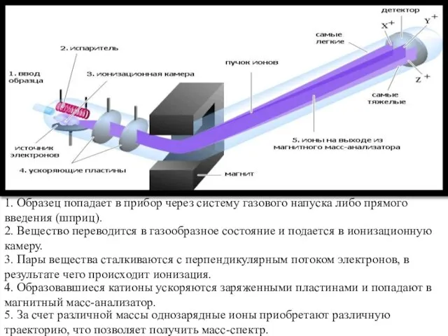 Устройство прибора 1. Образец попадает в прибор через систему газового напуска либо