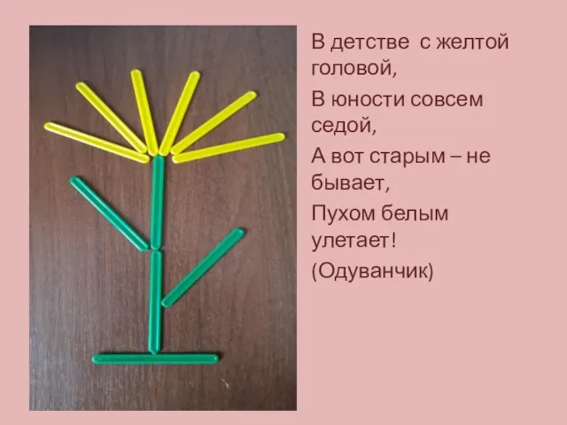 В детстве с желтой головой, В юности совсем седой, А вот старым