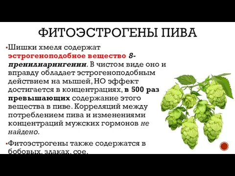 ФИТОЭСТРОГЕНЫ ПИВА Шишки хмеля содержат эстрогеноподобное вещество 8-пренилнарингенин. В чистом виде оно