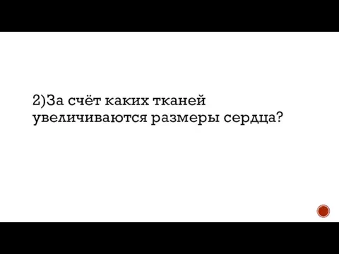 2)За счёт каких тканей увеличиваются размеры сердца?