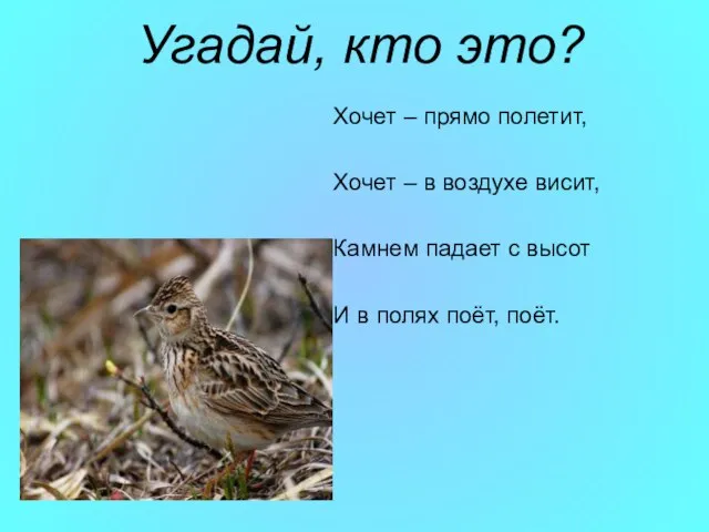 Угадай, кто это? Хочет – прямо полетит, Хочет – в воздухе висит,