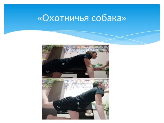 «Охотничья собака»