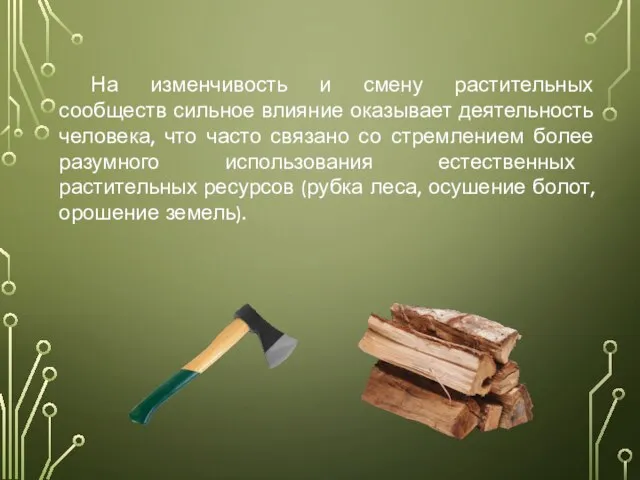 На изменчивость и смену растительных сообществ сильное влияние оказывает деятельность человека, что