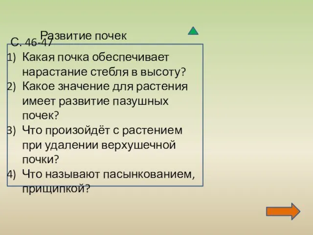 Развитие почек С. 46-47 Какая почка обеспечивает нарастание стебля в высоту? Какое