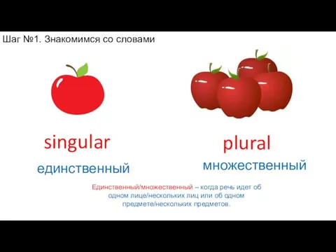 Единственный/множественный – когда речь идет об одном лице/нескольких лиц или об одном