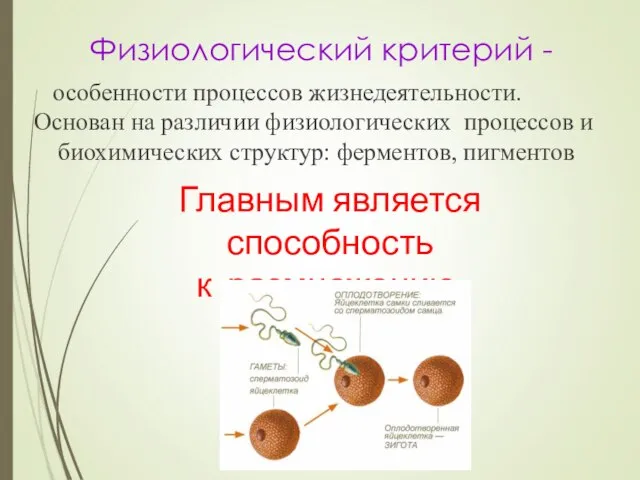 Физиологический критерий - особенности процессов жизнедеятельности. Основан на различии физиологических процессов и