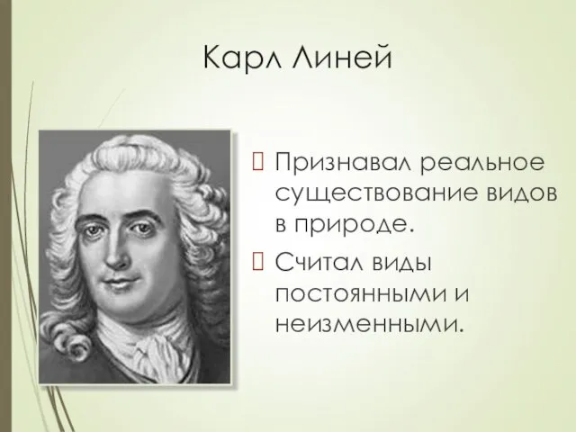 Карл Линей Признавал реальное существование видов в природе. Считал виды постоянными и неизменными.