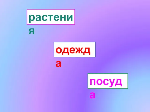 растения одежда посуда