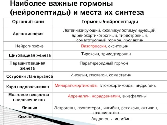 Наиболее важные гормоны (нейропептиды) и места их синтеза Семенники Андрогены, ингибин Яичник