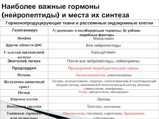 Наиболее важные гормоны (нейропептиды) и места их синтеза Гипоталамус А) рилизинг и