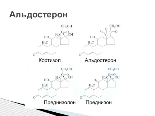 Альдостерон