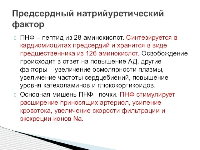 ПНФ – пептид из 28 аминокислот. Синтезируется в кардиомиоцитах предсердий и хранится