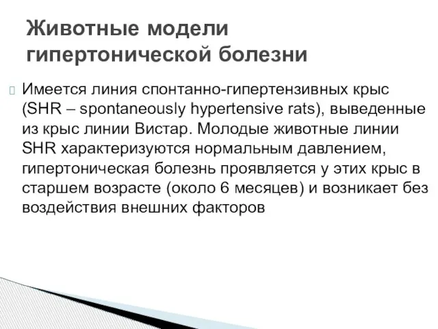 Имеется линия спонтанно-гипертензивных крыс (SHR – spontaneously hypertensive rats), выведенные из крыс