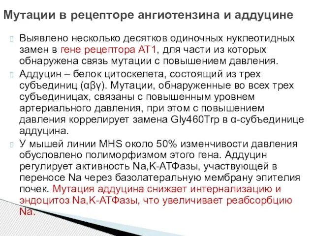 Выявлено несколько десятков одиночных нуклеотидных замен в гене рецептора АТ1, для части