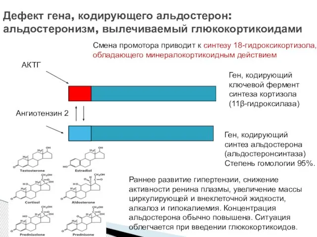 Дефект гена, кодирующего альдостерон: альдостеронизм, вылечиваемый глюкокортикоидами Ген, кодирующий ключевой фермент синтеза