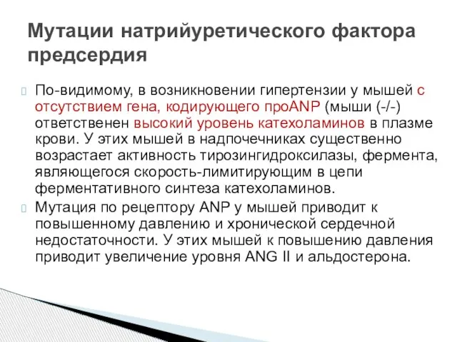 По-видимому, в возникновении гипертензии у мышей с отсутствием гена, кодирующего проANP (мыши