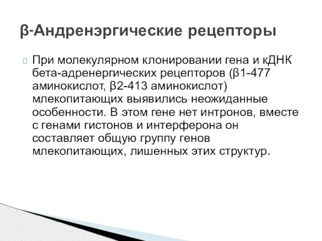 При молекулярном клонировании гена и кДНК бета-адренергических рецепторов (β1-477 аминокислот, β2-413 аминокислот)