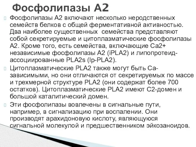 Фосфолипазы A2 включают несколько неродственных семейств белков с общей ферментативной активностью. Два