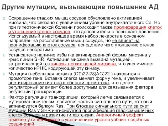 Сокращение гладких мышц сосудов обусловлено активацией миозина, что связано с увеличением уровня