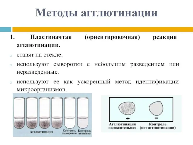 Методы агглютинации 1. Пластиначтая (ориентировочная) реакция агглютинации. ставят на стекле. используют сыворотки