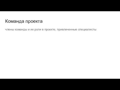 Команда проекта члены команды и их роли в проекте, привлеченные специалисты